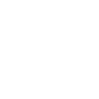 Professioneller Standard 
